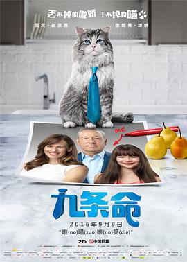 麻豆久久婷婷综合五月国产